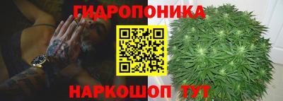 трава Камышлов