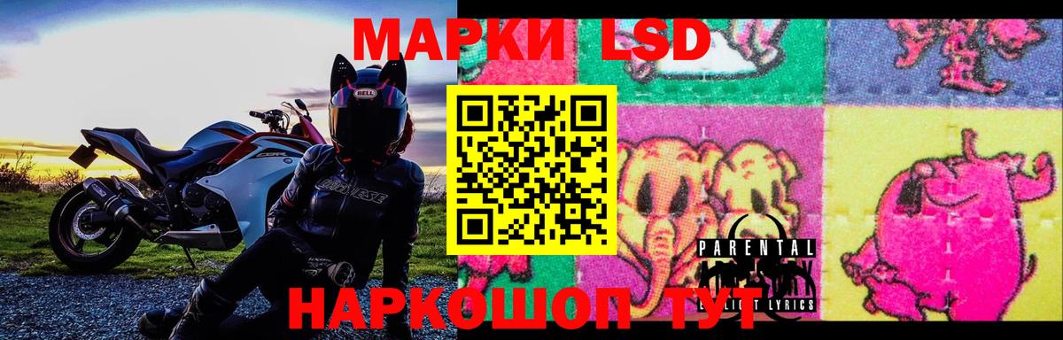 LSD-25 экстази кислота  Вход с VPN  ОМГ ОМГ сайт  Кузнецк  ЛСД экстази кислота 