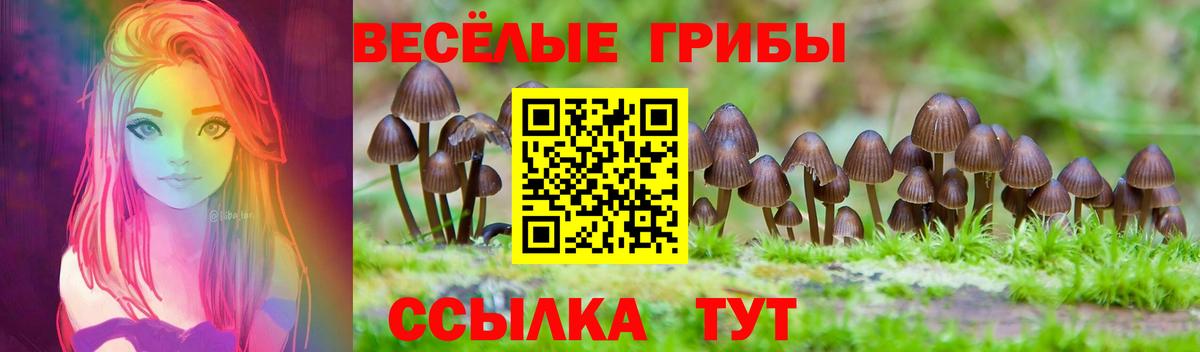 Псилоцибиновые грибы мицелий  Вход с VPN  Кузнецк  Псилоцибиновые грибы MAGIC MUSHROOMS 